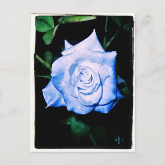 リトルブループリンセス ポストカード (正面)