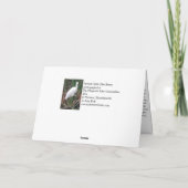 リトルブルーヘロン魚釣り カード (裏面)