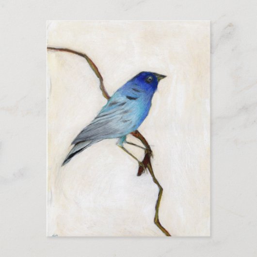 リトルブルー2012 ポストカード (正面)