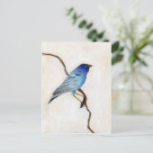 リトルブルー2012 ポストカード (スタンド正面)