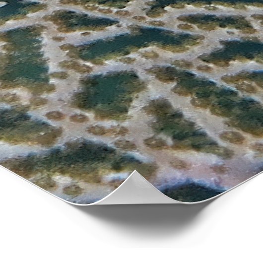 リトルプファーとファンサンゴ ポスター (角)