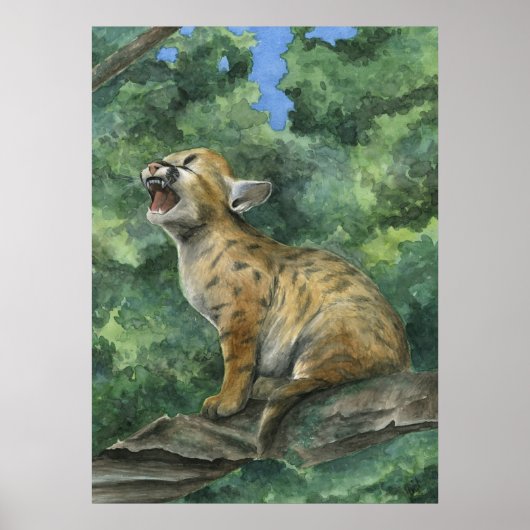 リトルプーマ ポスター (正面)