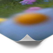 リトルベアデイジー1 ポスター (角)