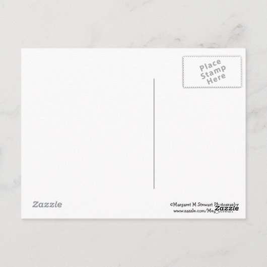 リトルベビーチップムンクエクセレンス引用文はがき ポストカード (裏面)