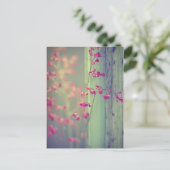 リトルベル ポストカード (スタンド正面)