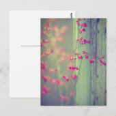 リトルベル ポストカード (正面/裏面)