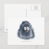 リトルペンギン ポストカード (正面/裏面)