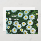 リトルホワイトデイジーフローラフォト誕生日 ポストカード (正面/裏面)