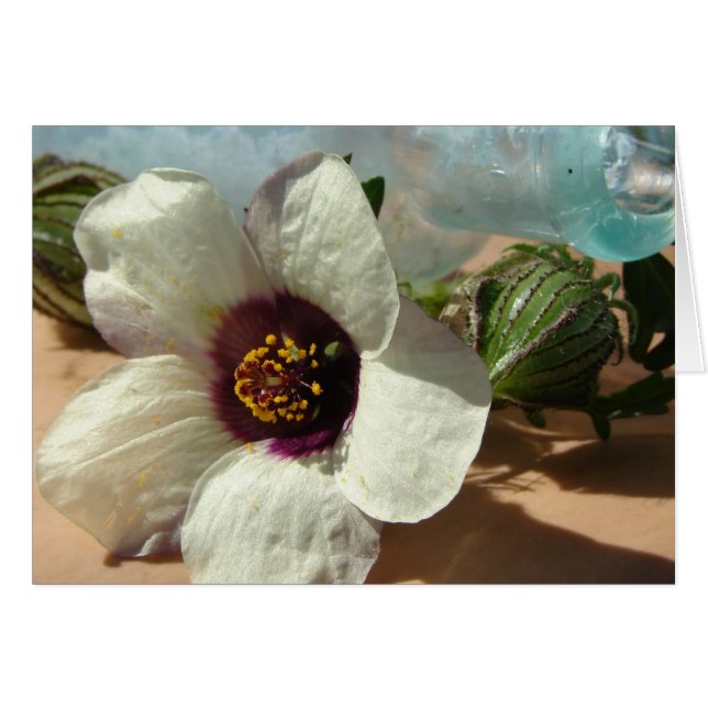 リトルホワイトフラワー、ヴィンテージボトル、カボチャ (正面横)