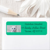 リトルホワイト子猫住所 シール (インサイチュ)