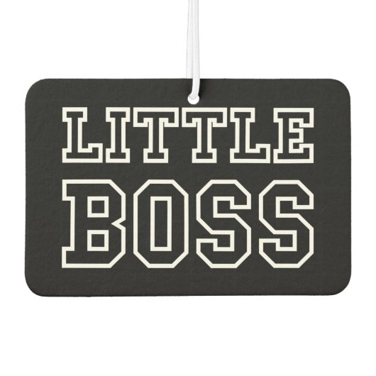 リトルボス空気清浄機 カーエアーフレッシュナー (正面)