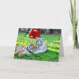 リトルボーイズクリスマス シーズンカード