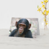 リトルボーイ カード (黄色い花)