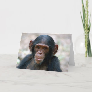 リトルボーイ カード