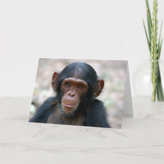 リトルボーイ カード (正面)