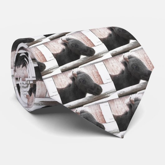 リトルポニー ネクタイ (ロール)