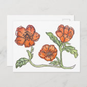 リトルポピー ポストカード (正面/裏面)