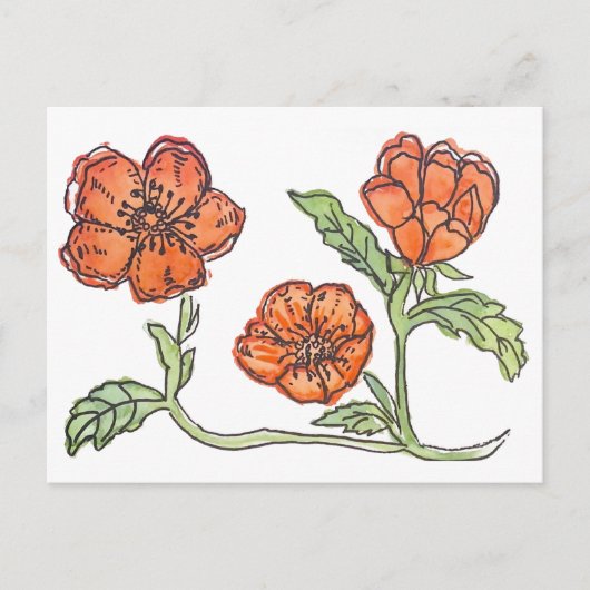 リトルポピー ポストカード (正面)