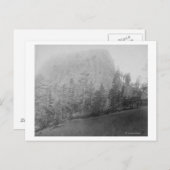 リトルミズーリビュッテベヨードフィールドと木 ポストカード (正面/裏面)