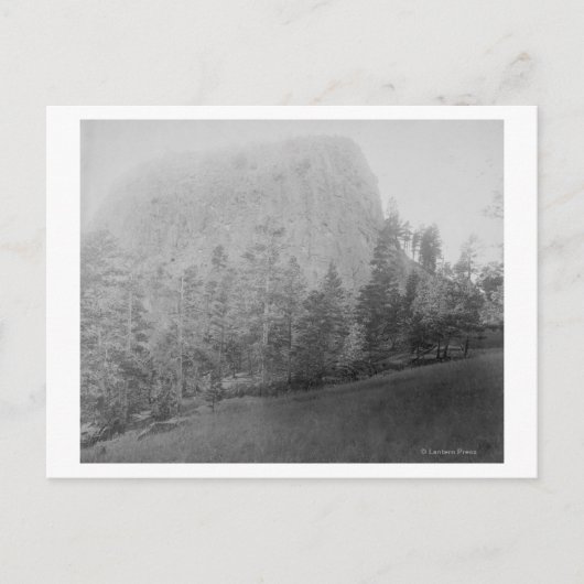 リトルミズーリビュッテベヨードフィールドと木 ポストカード (正面)