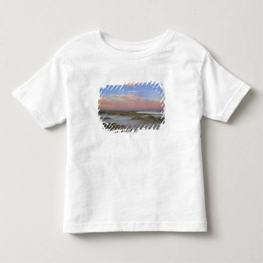 リトルミズーリ川からの霧が立ち込める トドラーTシャツ (正面)