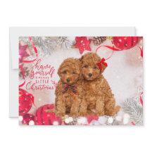 リトルメリークリスマスプードルパピズホリデーカード