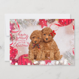 リトルメリークリスマスプードルパピズホリデーカード シーズンカード