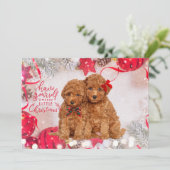 リトルメリークリスマスプードルパピズホリデーカード シーズンカード (スタンド正面)