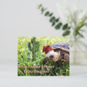 リトルメリークリスマス – デザートカメ ポストカード (スタンド正面)