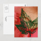 「リトルメープル」カントリー・ロード・ポストカード ポストカード (正面/裏面)