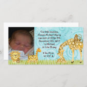 リトルモンキーボーイベイビー誕生のお知らせ 案内状 (正面/裏面)