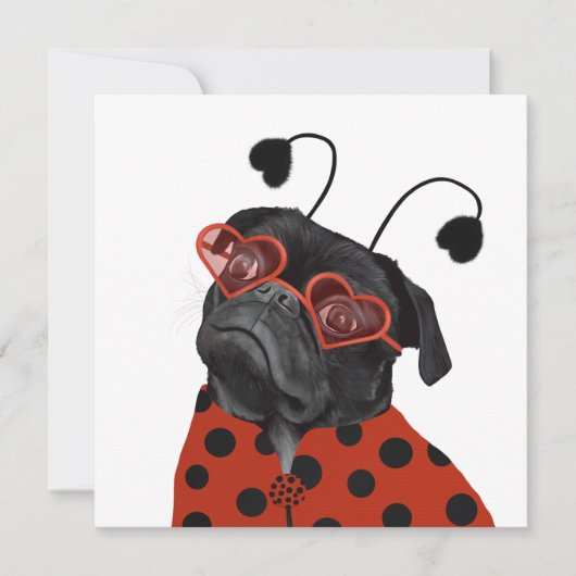 リトルラブプグ | Pug愛好家 (正面)