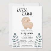 リトルラムベビーシャワー招待状 招待状 (正面)