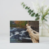 リトルリバー ポストカード (スタンド正面)