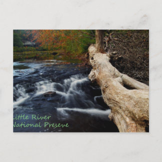 リトルリバー ポストカード