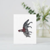 リトルレッドフード シーズンカード (スタンド正面)