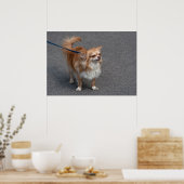 リトルレッドヘッド ポスター (キッチン)