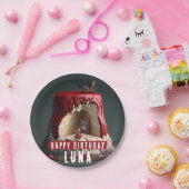 リトルレッドライディングフードお誕生日ケーキ- ペーパープレート (パーティー)