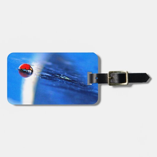 リトルレディ ラゲッジタグ (正面横)