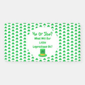 リトルレプレシャン性別リビール 横断幕 (横)