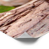 リトルロビンポスター ポスター (角)