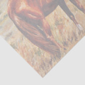 リトル女性のカーボーイオンキャトルホース 薄葉紙 (詳細)