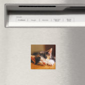 リトル子猫睡眠 マグネット (インサイチュ (食洗機))