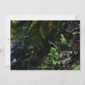 リトル結婚ウォーターフカスタム招待状 招待状 (裏面)