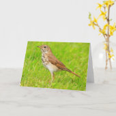 リトル考えるバード自然 カード (黄色い花)