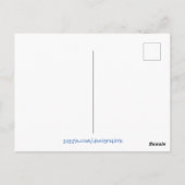 リトル読ズテディベアの水の色 ポストカード (裏面)