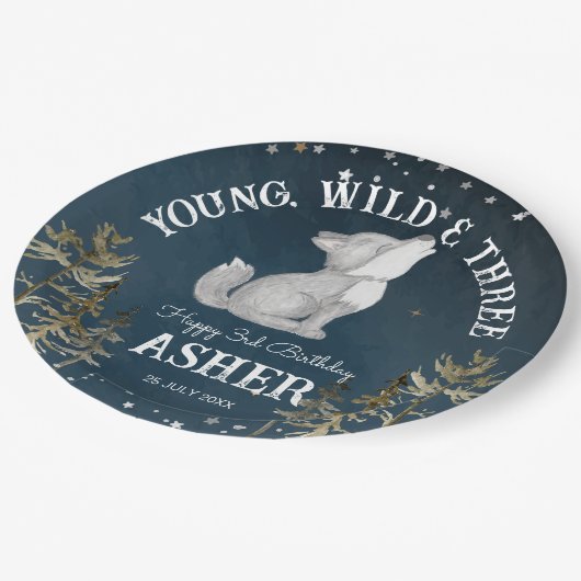 リトル・ウルフをテーマにした誕生日パモノグラムのーティー ペーパープレート (アングル)