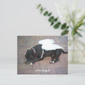 リトル・エンジェル！ ポストカード (スタンド正面)