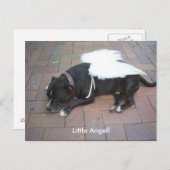 リトル・エンジェル！ ポストカード (正面/裏面)