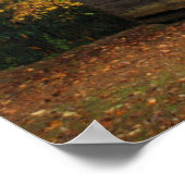 リトル・グリーンブリア・スクール ポスター (角)